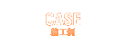 CASE 施工例